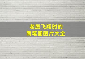 老鹰飞翔时的简笔画图片大全