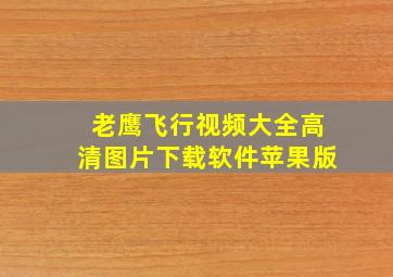 老鹰飞行视频大全高清图片下载软件苹果版