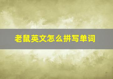 老鼠英文怎么拼写单词