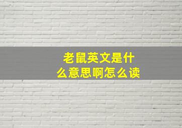 老鼠英文是什么意思啊怎么读