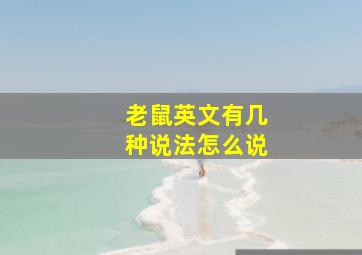 老鼠英文有几种说法怎么说