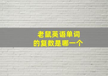 老鼠英语单词的复数是哪一个