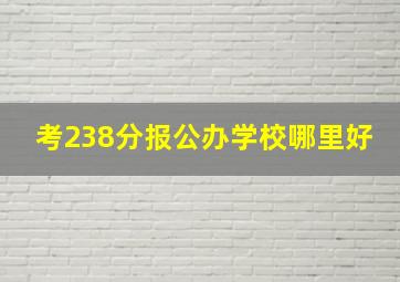 考238分报公办学校哪里好