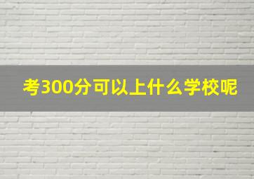 考300分可以上什么学校呢