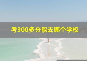 考300多分能去哪个学校