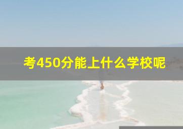 考450分能上什么学校呢