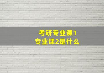 考研专业课1专业课2是什么