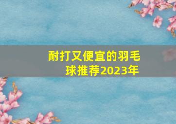 耐打又便宜的羽毛球推荐2023年