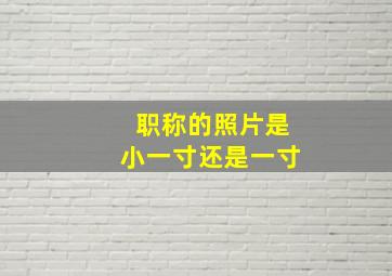 职称的照片是小一寸还是一寸