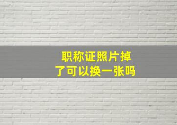 职称证照片掉了可以换一张吗