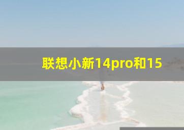 联想小新14pro和15