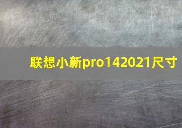 联想小新pro142021尺寸