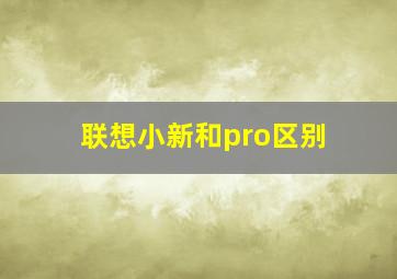 联想小新和pro区别