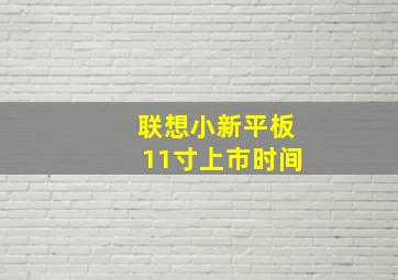 联想小新平板11寸上市时间