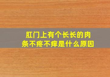 肛门上有个长长的肉条不疼不痒是什么原因