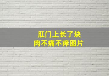 肛门上长了块肉不痛不痒图片