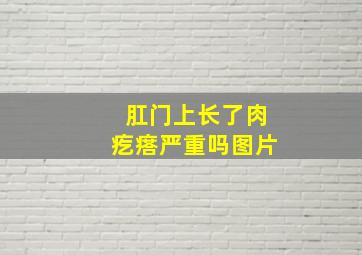 肛门上长了肉疙瘩严重吗图片