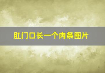 肛门口长一个肉条图片