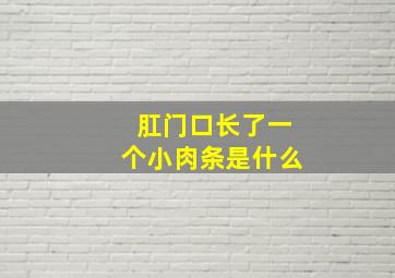 肛门口长了一个小肉条是什么