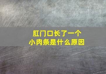 肛门口长了一个小肉条是什么原因