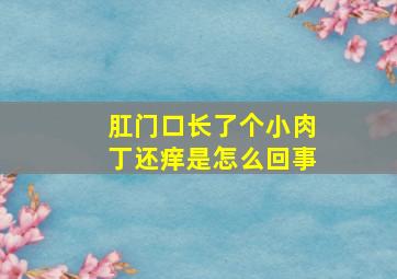 肛门口长了个小肉丁还痒是怎么回事