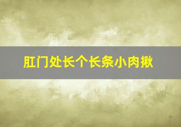 肛门处长个长条小肉揪