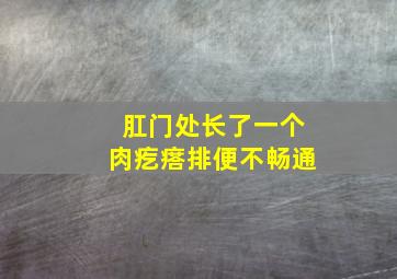 肛门处长了一个肉疙瘩排便不畅通