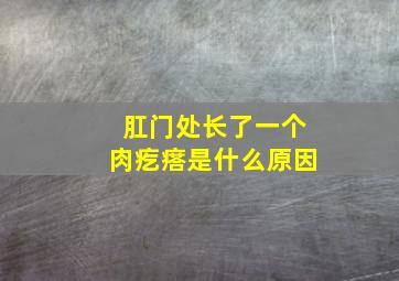 肛门处长了一个肉疙瘩是什么原因