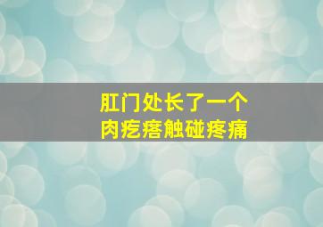 肛门处长了一个肉疙瘩触碰疼痛