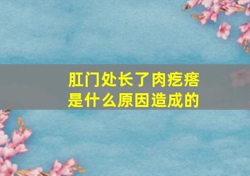 肛门处长了肉疙瘩是什么原因造成的