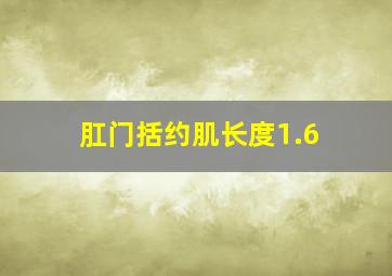 肛门括约肌长度1.6