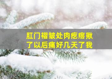 肛门褶皱处肉疙瘩揪了以后痛好几天了我