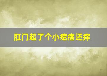 肛门起了个小疙瘩还痒