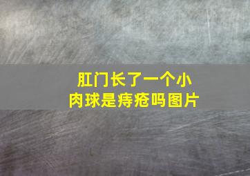 肛门长了一个小肉球是痔疮吗图片