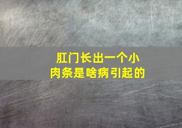 肛门长出一个小肉条是啥病引起的