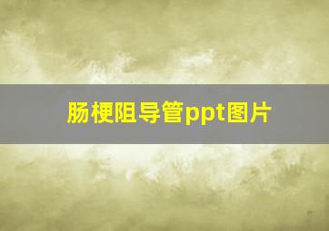 肠梗阻导管ppt图片