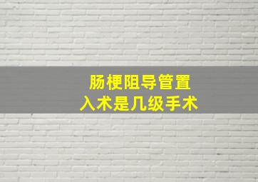 肠梗阻导管置入术是几级手术