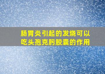 肠胃炎引起的发烧可以吃头孢克肟胶囊的作用