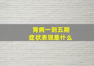 肾病一到五期症状表现是什么