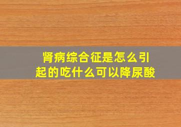 肾病综合征是怎么引起的吃什么可以降尿酸