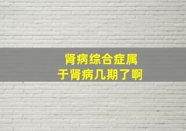 肾病综合症属于肾病几期了啊