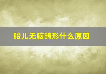 胎儿无脑畸形什么原因