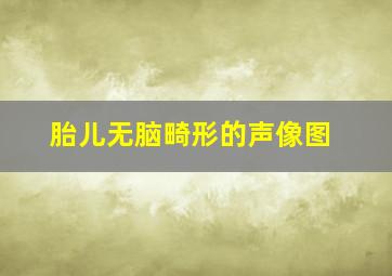 胎儿无脑畸形的声像图