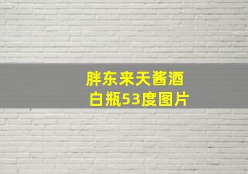 胖东来天酱酒白瓶53度图片