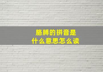 胳膊的拼音是什么意思怎么读