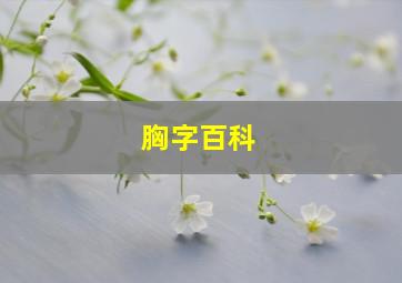 胸字百科