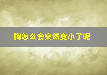 胸怎么会突然变小了呢