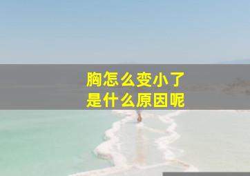 胸怎么变小了是什么原因呢