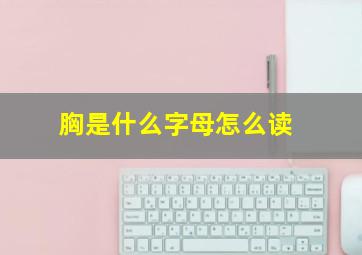 胸是什么字母怎么读