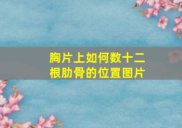 胸片上如何数十二根肋骨的位置图片